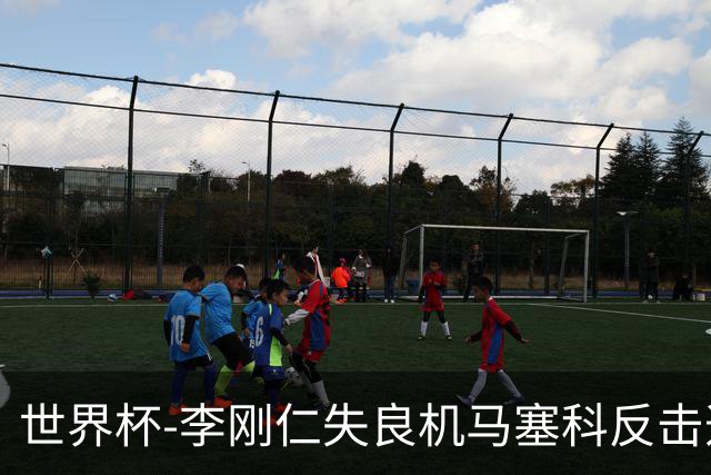 世界杯-李刚仁失良机马塞科反击造险 半场南非0-0韩国