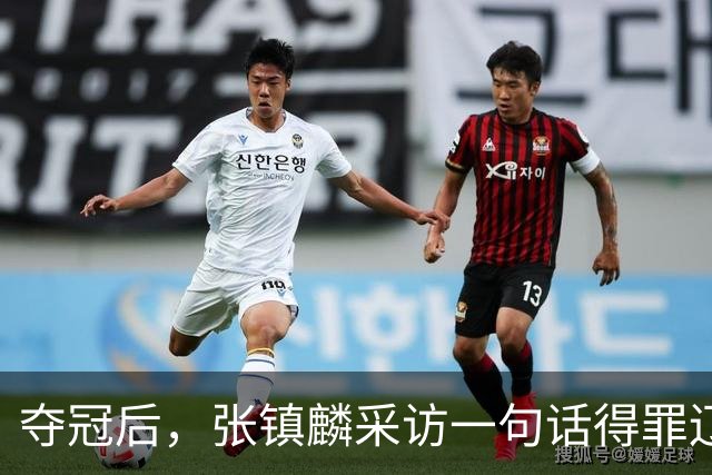 夺冠后，张镇麟采访一句话得罪辽宁，辽蜜：有本事到四川证明价值