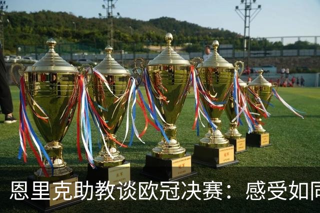 恩里克助教谈欧冠决赛：感受如同一年前的积极能量与激情