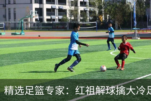 精选足篮专家：红祖解球擒大冷足彩揽奖44万！